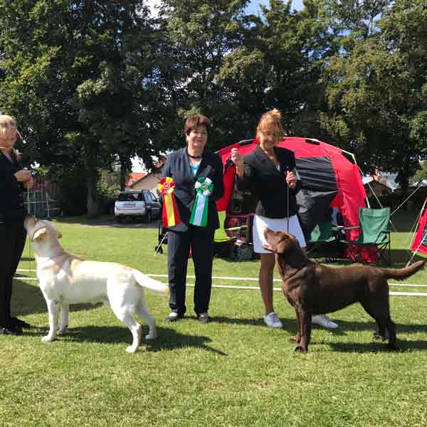 Uppfödaren med sin labrador som idag blir dansk champion