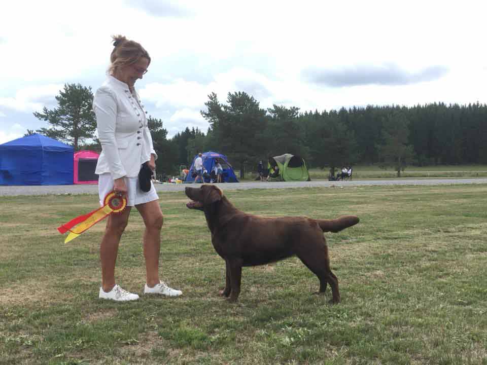 Tina står snyggt och har blivit BIR och international champion 