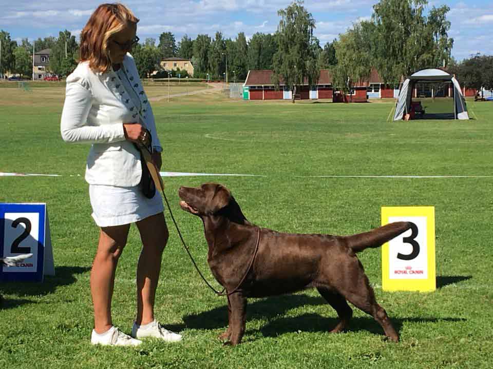 Tina står snyggt 